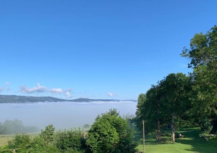 Burggasthof Weissenstein Regen Bagian luar foto