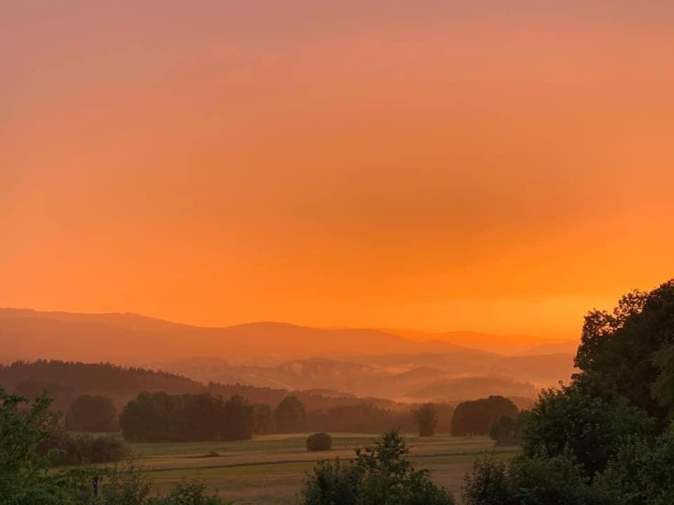 Burggasthof Weissenstein Regen Bagian luar foto